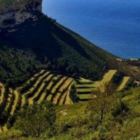 Echo Des Flots Vue Apartment Cassis